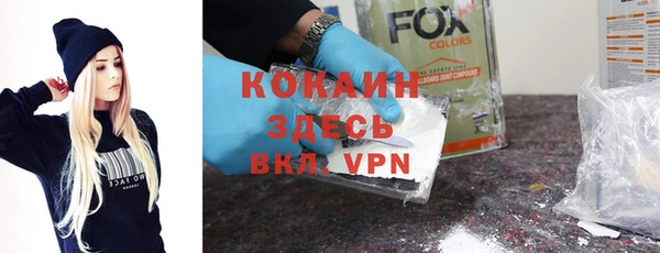 крисы Мегион
