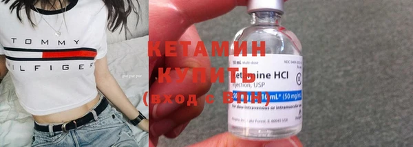 прущие грибы Медногорск