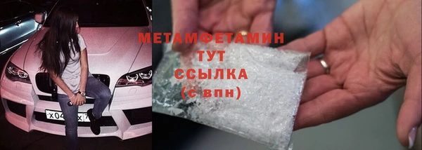 крисы Мегион