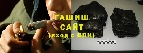 прущие грибы Медногорск