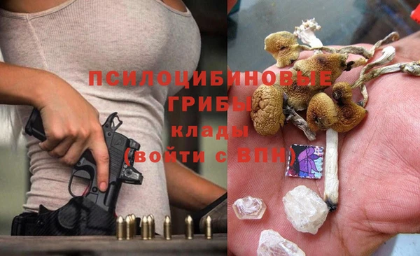 спиды Медвежьегорск