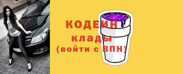 прущие грибы Медногорск