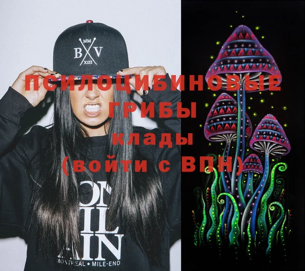 прущие грибы Медногорск