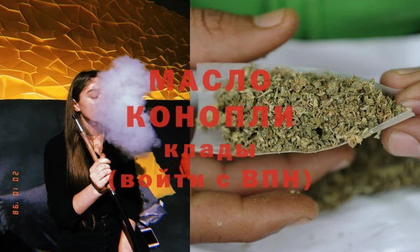 крисы Мегион