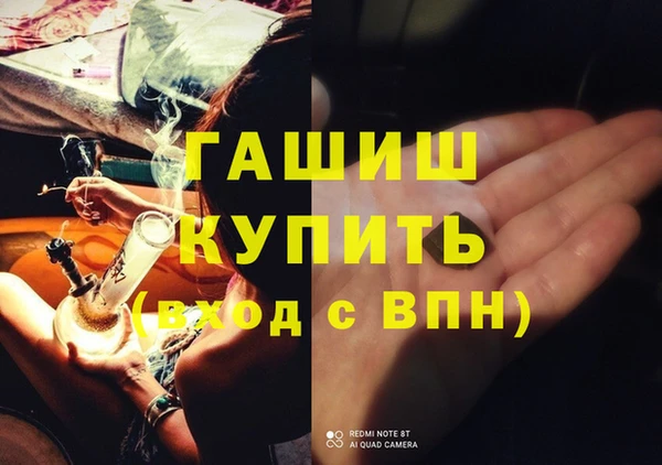 крисы Мегион