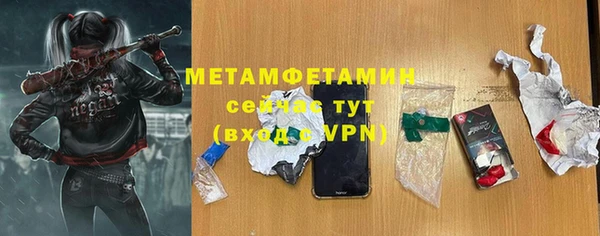 прущие грибы Медногорск