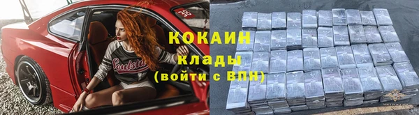 прущие грибы Медногорск