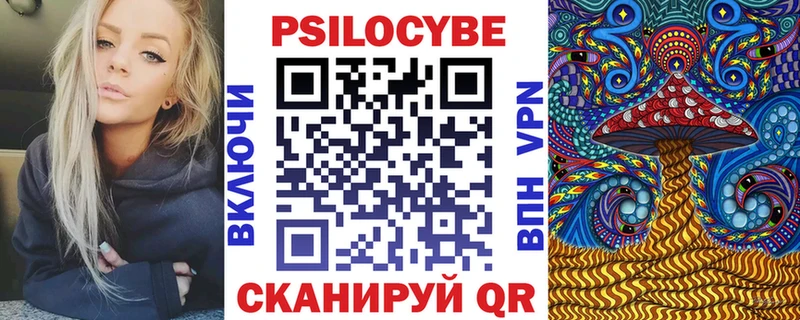 Псилоцибиновые грибы Psilocybe  Тверь 
