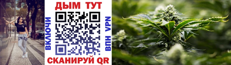 Канабис сатива  Тверь 