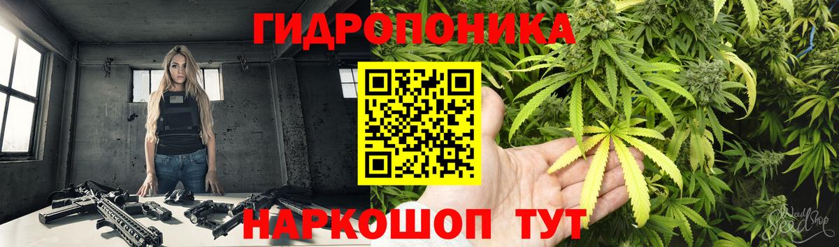 Каннабис индика  Бошки Шишки марихуана  Вход с VPN  МАРИХУАНА марихуана  Тверь 
